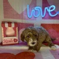 processed/3449d3b1-77ae-4043-9437-2d1208ffe7ad/listing/a77608c9-4e26-4d3d-96e9-1bdffd839514/3ddd75f5-5b4c-4c8e-a7c9-ad19edacf9ea