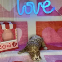 processed/3449d3b1-77ae-4043-9437-2d1208ffe7ad/listing/a77608c9-4e26-4d3d-96e9-1bdffd839514/5a4478b6-c440-4d21-a41f-9c31a410e544