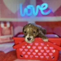 processed/3449d3b1-77ae-4043-9437-2d1208ffe7ad/listing/a77608c9-4e26-4d3d-96e9-1bdffd839514/7da41669-7db0-4a06-8bf2-3482cc720810