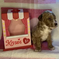 processed/3449d3b1-77ae-4043-9437-2d1208ffe7ad/listing/a77608c9-4e26-4d3d-96e9-1bdffd839514/a570f4c3-7d60-45a0-b64b-9088e2ded8f0