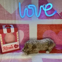 processed/3449d3b1-77ae-4043-9437-2d1208ffe7ad/listing/a77608c9-4e26-4d3d-96e9-1bdffd839514/abb50cfd-5c40-4819-b3d7-b4d7eaf2afc0