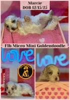 processed/3449d3b1-77ae-4043-9437-2d1208ffe7ad/listing/b9e33d50-96d7-4ff6-8215-ccdd272b4e18/07cc8ab5-ecec-404c-a93a-276c806bb93e