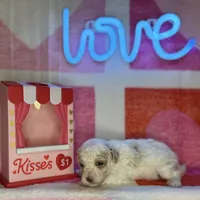 processed/3449d3b1-77ae-4043-9437-2d1208ffe7ad/listing/b9e33d50-96d7-4ff6-8215-ccdd272b4e18/7711e0d9-c24f-4d88-8e54-07e0673cbb96