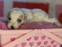 processed/3449d3b1-77ae-4043-9437-2d1208ffe7ad/listing/b9e33d50-96d7-4ff6-8215-ccdd272b4e18/7855fd68-ffec-4ce5-8d92-018b87ecfc85