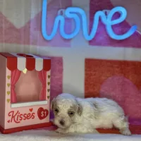 processed/3449d3b1-77ae-4043-9437-2d1208ffe7ad/listing/b9e33d50-96d7-4ff6-8215-ccdd272b4e18/a0453a52-04d0-4404-99e7-3b2c85bafeb3