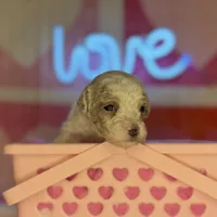 processed/3449d3b1-77ae-4043-9437-2d1208ffe7ad/listing/b9e33d50-96d7-4ff6-8215-ccdd272b4e18/b566fa55-2d18-48fa-9446-d18f7d79671f