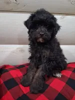 processed/344deff2-9922-42c6-b8db-880717a6519a/listing/1aa7c813-3551-4055-af3e-7d39e5a586ba/726b5874-52e7-4679-9c42-9b7ea01bf543