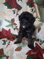 processed/344deff2-9922-42c6-b8db-880717a6519a/listing/1aa7c813-3551-4055-af3e-7d39e5a586ba/7ff3e00c-0642-4774-afcc-2d2018698186