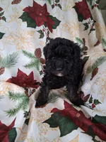 processed/344deff2-9922-42c6-b8db-880717a6519a/listing/1aa7c813-3551-4055-af3e-7d39e5a586ba/e1842d5b-7064-4353-9b4a-cc49e320c98a