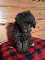 processed/344deff2-9922-42c6-b8db-880717a6519a/listing/1aa7c813-3551-4055-af3e-7d39e5a586ba/e9e10a55-753d-44ac-977b-3a89ec9c0f25