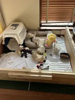 processed/34582d2b-f861-48de-a827-6f6aa058c88b/facility/3fdb7684-1832-494e-b1ee-21e935eea444