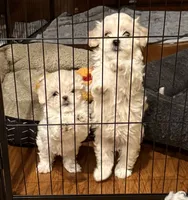 processed/34582d2b-f861-48de-a827-6f6aa058c88b/listing/5c829d7d-c6d9-49cc-adfb-56fa9fd59123/0796ea1b-606d-49c8-a069-ebc592ac4cac