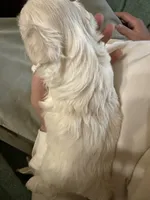 processed/34582d2b-f861-48de-a827-6f6aa058c88b/listing/5c829d7d-c6d9-49cc-adfb-56fa9fd59123/9b1c808a-1992-4740-9f34-8453359cce53