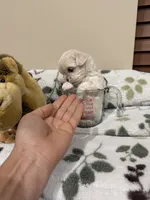 processed/34582d2b-f861-48de-a827-6f6aa058c88b/listing/f3f727a0-b1d8-4128-8880-71e35cfac010/03f4c13e-54ad-4d41-92b7-0b04fe6eeb26