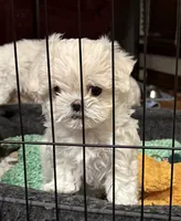 processed/34582d2b-f861-48de-a827-6f6aa058c88b/listing/f3f727a0-b1d8-4128-8880-71e35cfac010/3f57b3cb-a523-4c5a-a696-25a0d5bab288