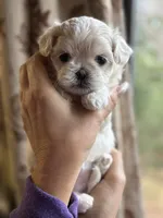 processed/34582d2b-f861-48de-a827-6f6aa058c88b/listing/f3f727a0-b1d8-4128-8880-71e35cfac010/d7e108e3-99e4-41c9-a865-94e063ee097a