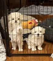 processed/34582d2b-f861-48de-a827-6f6aa058c88b/listing/f3f727a0-b1d8-4128-8880-71e35cfac010/f45c8cae-3bd2-430b-b990-7b2465e2d454