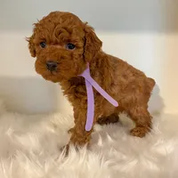 processed/345cb2c9-7c76-4900-a8cd-f159e71c928a/facility/e2643c82-af83-4c03-b773-e13c3e5f68cb