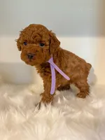 processed/345cb2c9-7c76-4900-a8cd-f159e71c928a/facility/e2643c82-af83-4c03-b773-e13c3e5f68cb