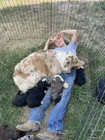 processed/345ce1d4-b737-4c19-95c5-8657ba9ee96e/facility/1684c567-03aa-4dc8-9227-57ae3fac7961