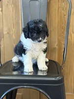 processed/345ce1d4-b737-4c19-95c5-8657ba9ee96e/listing/1ac12e07-2d67-4614-a02d-520ab1bd09ca/33d8e3a2-5d2e-4e14-95e4-2c747212138c