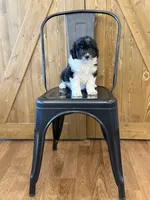 processed/345ce1d4-b737-4c19-95c5-8657ba9ee96e/listing/1ac12e07-2d67-4614-a02d-520ab1bd09ca/4bdac2ca-2f73-4001-bdd1-b768dd1be302