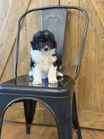 processed/345ce1d4-b737-4c19-95c5-8657ba9ee96e/listing/1ac12e07-2d67-4614-a02d-520ab1bd09ca/5493e965-530b-44ae-b4af-0223f001b548