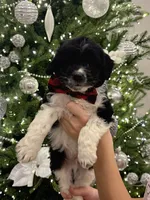 processed/345ce1d4-b737-4c19-95c5-8657ba9ee96e/listing/1ac12e07-2d67-4614-a02d-520ab1bd09ca/72885c18-472d-4abe-b235-0072079824aa