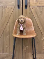 processed/345ce1d4-b737-4c19-95c5-8657ba9ee96e/listing/5f92d650-8473-4a75-a63a-c321505dc062/a3594a5e-d588-4a5b-b9db-667e83d1811f