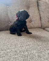 processed/347696c6-efe9-40d1-afaf-bc6bfb48411f/listing/12660a2f-8846-472c-914d-40908452a2f2/05b8fdbb-4c52-4dbe-9e41-f04abb1f4d66