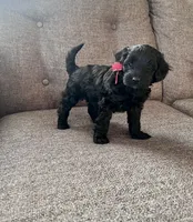 processed/347696c6-efe9-40d1-afaf-bc6bfb48411f/listing/12660a2f-8846-472c-914d-40908452a2f2/b25fcc2a-bb7a-4265-8c56-985cd4459b53