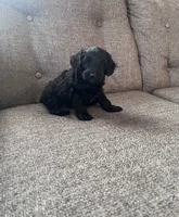 processed/347696c6-efe9-40d1-afaf-bc6bfb48411f/listing/12660a2f-8846-472c-914d-40908452a2f2/ebd8e88b-e5af-4567-a5d8-60c3123d3cfb