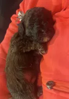 processed/347696c6-efe9-40d1-afaf-bc6bfb48411f/listing/1e753c56-06c9-4640-85b0-12c67b4bdbd6/4660d784-71fc-450a-8bde-792d27fde6d0