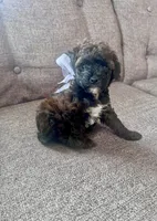 processed/347696c6-efe9-40d1-afaf-bc6bfb48411f/listing/1e753c56-06c9-4640-85b0-12c67b4bdbd6/659c2656-74b1-4c93-a5e7-0b8cf35ddbda