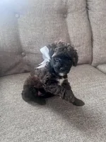 processed/347696c6-efe9-40d1-afaf-bc6bfb48411f/listing/1e753c56-06c9-4640-85b0-12c67b4bdbd6/7d38b470-c712-4379-b0de-1a1447e86c38