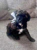 processed/347696c6-efe9-40d1-afaf-bc6bfb48411f/listing/1e753c56-06c9-4640-85b0-12c67b4bdbd6/ef431b6c-f430-4b12-ae93-53b5cf823175