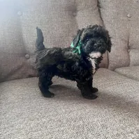 processed/347696c6-efe9-40d1-afaf-bc6bfb48411f/listing/3c54606e-0db0-4e43-956b-100fef4f3166/4eeee061-c827-4e64-9096-96cf3b7bd9bc