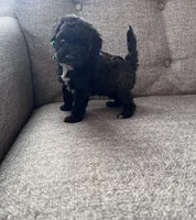 processed/347696c6-efe9-40d1-afaf-bc6bfb48411f/listing/3c54606e-0db0-4e43-956b-100fef4f3166/74539926-14c9-4ca9-bad3-3f992e3a4840