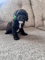 processed/347696c6-efe9-40d1-afaf-bc6bfb48411f/listing/3c54606e-0db0-4e43-956b-100fef4f3166/f8c77b97-2a93-41c5-92b5-4ea5cf1b4cf7