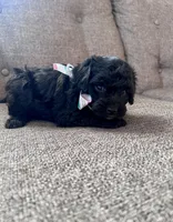 processed/347696c6-efe9-40d1-afaf-bc6bfb48411f/listing/44bd45f4-5b08-498c-a13e-2cf20e77fe0f/0a775dae-828a-4dab-b131-14cb16b11d13