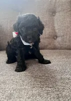 processed/347696c6-efe9-40d1-afaf-bc6bfb48411f/listing/44bd45f4-5b08-498c-a13e-2cf20e77fe0f/c03b8be2-ac7d-4d48-9e2e-c385a7cb7a03