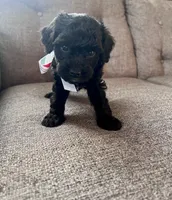 processed/347696c6-efe9-40d1-afaf-bc6bfb48411f/listing/44bd45f4-5b08-498c-a13e-2cf20e77fe0f/db69ade6-31c1-4688-a399-5f2eed73ae96