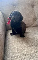 processed/347696c6-efe9-40d1-afaf-bc6bfb48411f/listing/adaf5297-d1b1-4b86-b672-f480a6bbc2be/34dd4bcc-8aba-4121-a44a-52244c66525a