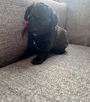 processed/347696c6-efe9-40d1-afaf-bc6bfb48411f/listing/adaf5297-d1b1-4b86-b672-f480a6bbc2be/b21b05c5-07ed-483d-bc59-e58383cb236c