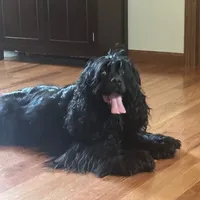 processed/347faa09-3a68-4f93-a8a4-715ba8354d48/facility/01ceaa96-8a93-44d0-b03c-0e35599ffd9b