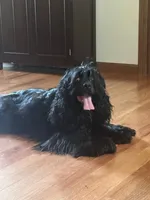 processed/347faa09-3a68-4f93-a8a4-715ba8354d48/facility/01ceaa96-8a93-44d0-b03c-0e35599ffd9b