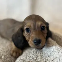 processed/347faa09-3a68-4f93-a8a4-715ba8354d48/facility/21e0386d-4141-406f-8164-e3a8894e52fb