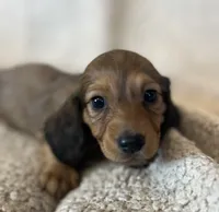 processed/347faa09-3a68-4f93-a8a4-715ba8354d48/facility/21e0386d-4141-406f-8164-e3a8894e52fb