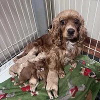 processed/347faa09-3a68-4f93-a8a4-715ba8354d48/facility/26e26512-dd18-44fe-8a06-77a94ae27836