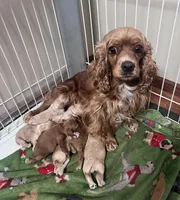 processed/347faa09-3a68-4f93-a8a4-715ba8354d48/facility/26e26512-dd18-44fe-8a06-77a94ae27836